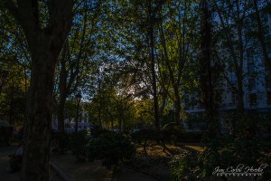 Park in the dark